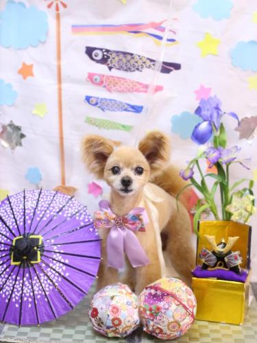 20240524クッキーくん